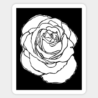 Cottage Core, White Rose Flower Sticker